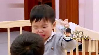 秃崽崽最新爆料视频大全,揭秘娱乐圈幕后真相