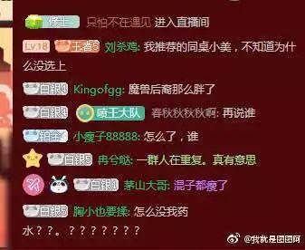 杀鸡最新爆料文案,揭秘幕后真相，带你走进神秘世界